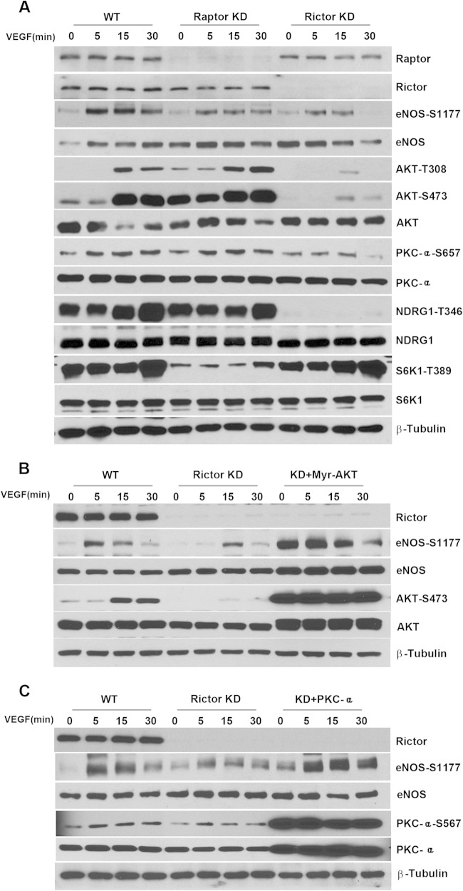 FIG 9