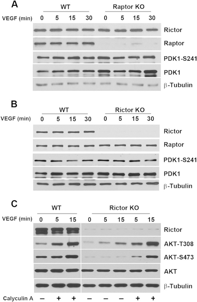 FIG 10