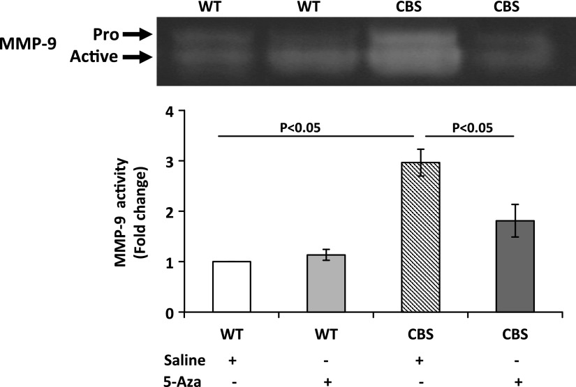 Figure 7.