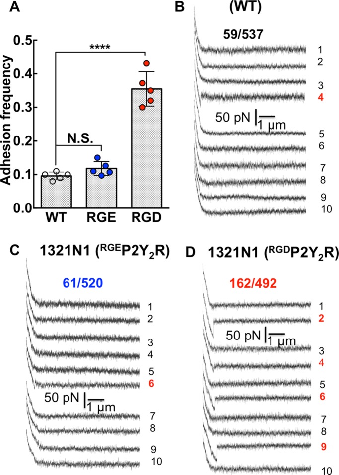 FIGURE 4: