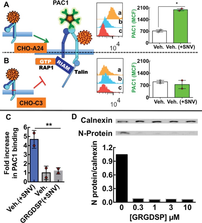 FIGURE 9: