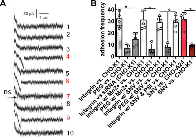 FIGURE 6: