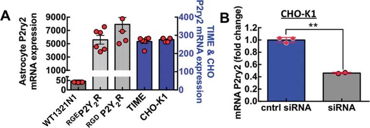 FIGURE 2: