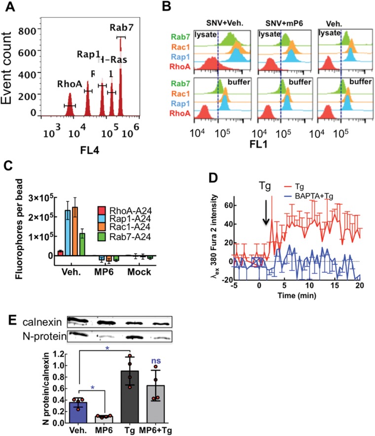 FIGURE 10: