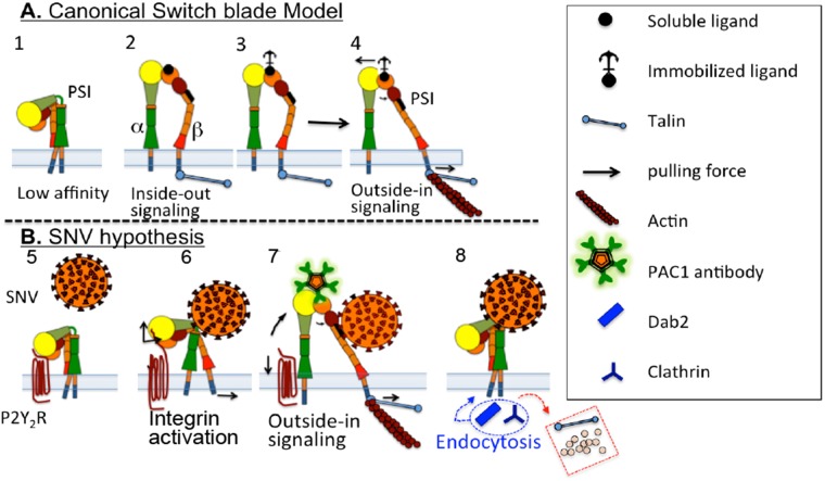 FIGURE 1: