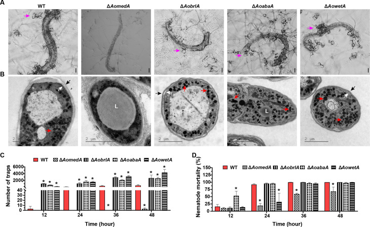 Fig 3