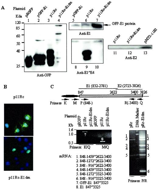 FIG. 6.