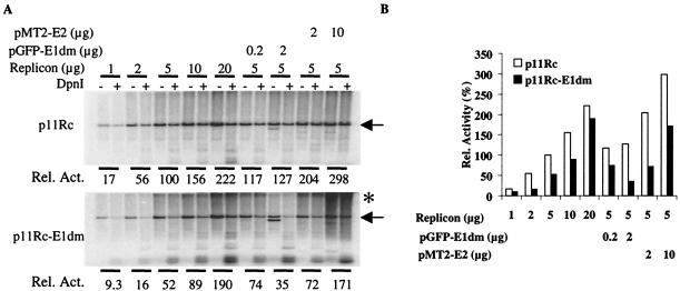 FIG. 7.