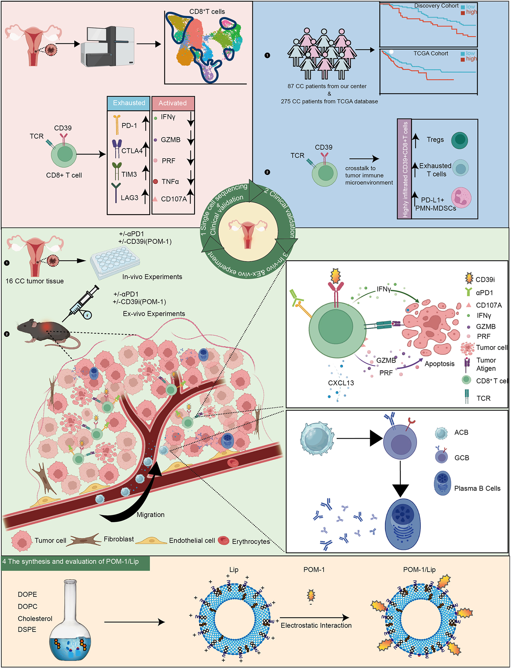 graphic file with name 12951_2025_3500_Figa_HTML.jpg