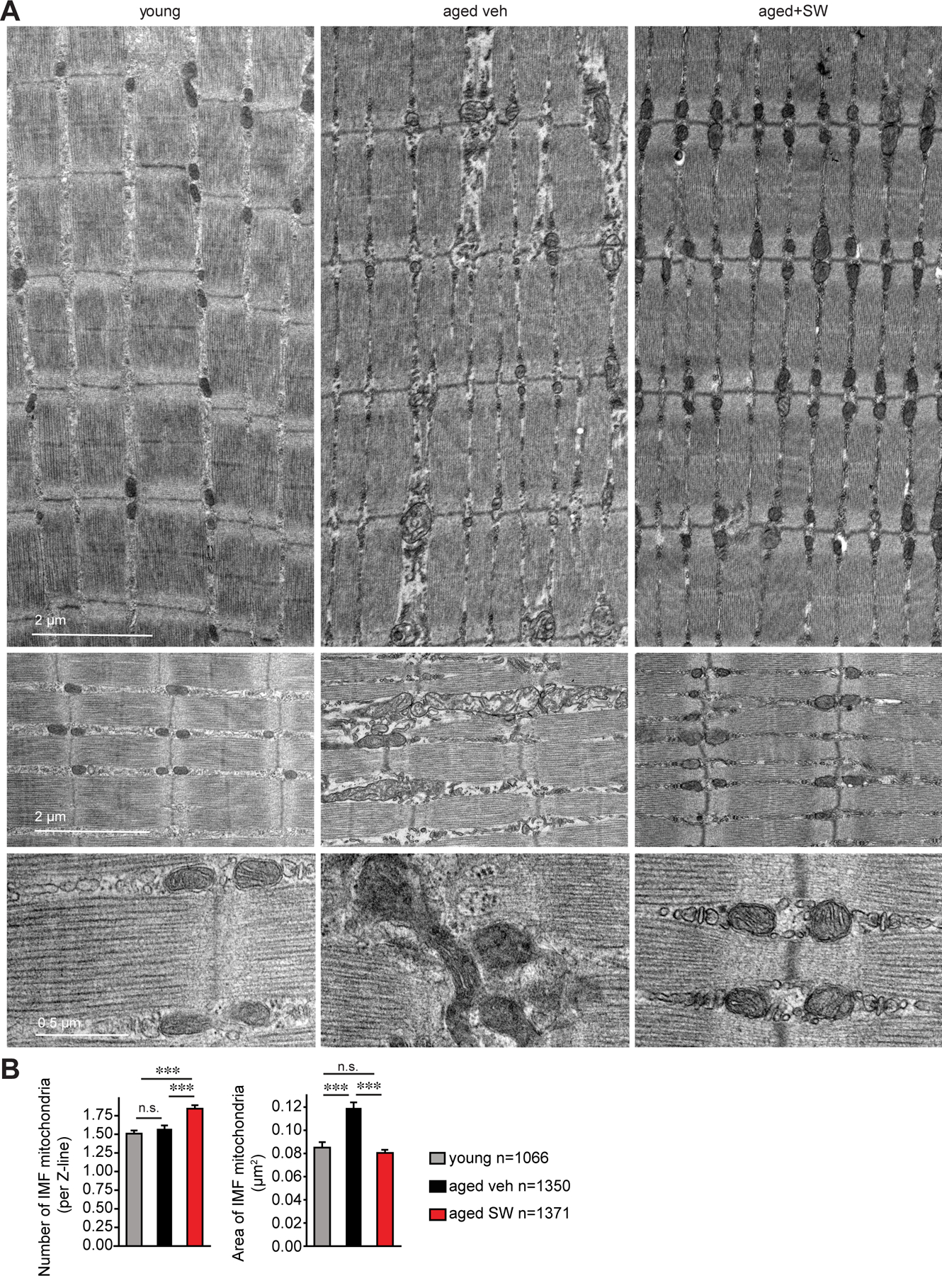 FIG. 8.