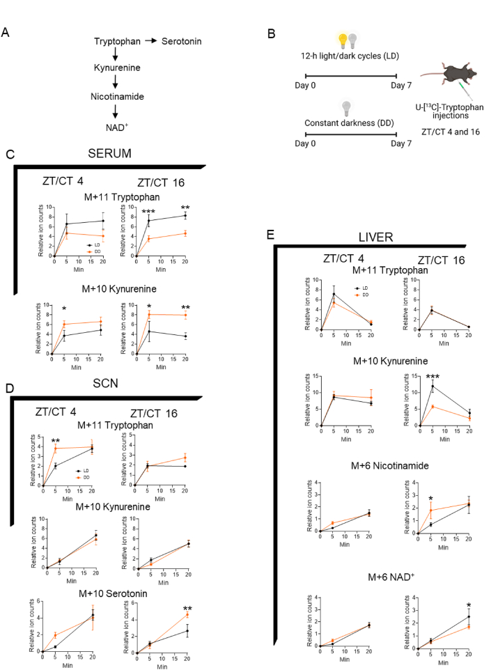 Figure 2