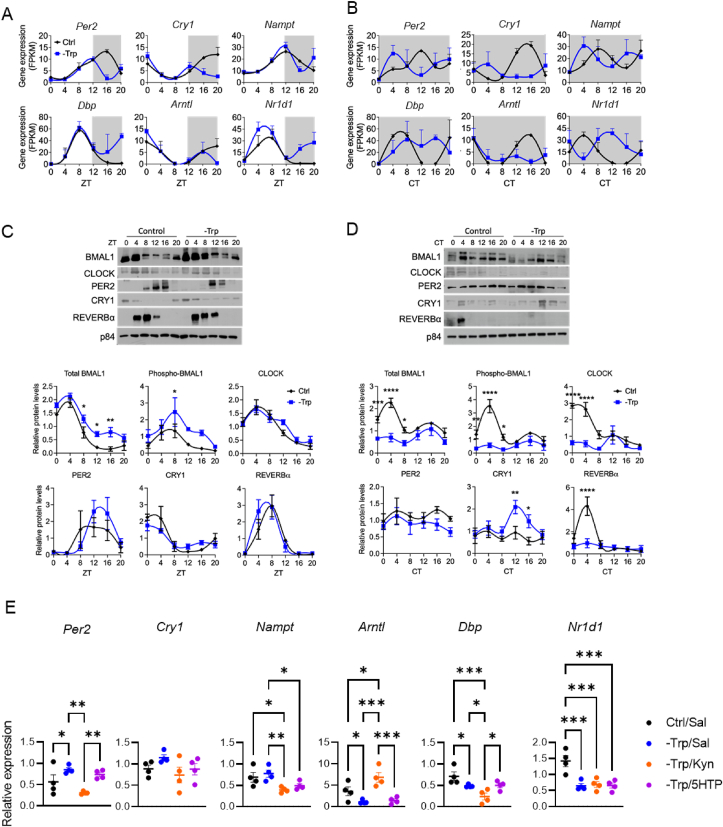 Figure 6