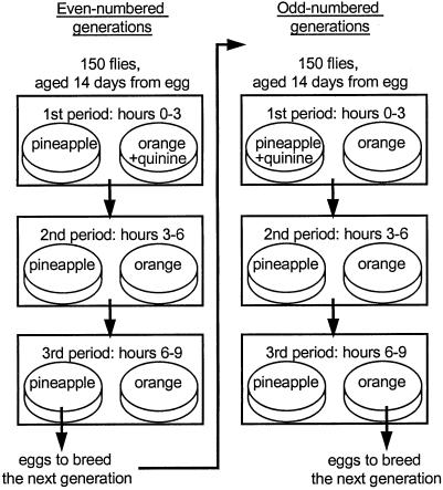 Fig 1.