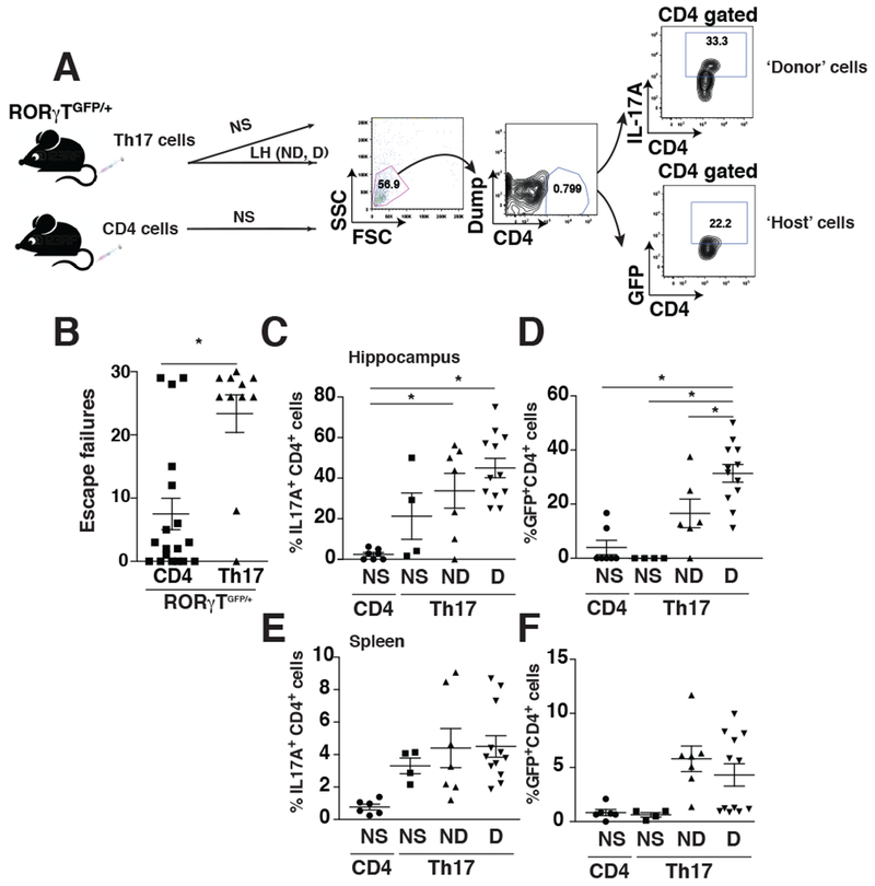 Figure 3: