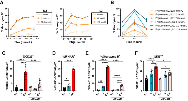 Figure 7. IL2 and type I IFN synergistically promote sustained granzyme expression in NK cells. Purified NK cells were incubated in vitro with indicated doses of IL2 and IFNα or IFNβ for 24 hours, and granzyme expression was quantified by flow cytometry (A). Fraction of in vitro stimulated NK cells expressing granzyme B at 24, 48, and 72 hours after stimulation (B). C–F, Balb/c mice bearing 4T1 tumors were treated with 30 μg CDN, 30 μg Alb-IL2, and 200 μg anti–PD-1 in the presence or absence of an IFNAR-1 blocking antibody, and lungs were isolated 3 days after treatment for analysis of NK cells quantified by flow cytometry. Shown are percentages of NK cells expressing CD25 (C), IFNAR-1 (D), granzyme B (E), and Ki67 (F). Data shown are mean ± SEM and are representative of two independent experiments (n = 5 animals/group). *, P < 0.05; **, P < 0.01; ***, P < 0.001; ****, P < 0.0001 by two-way ANOVA followed by Tukey multiple comparisons test.