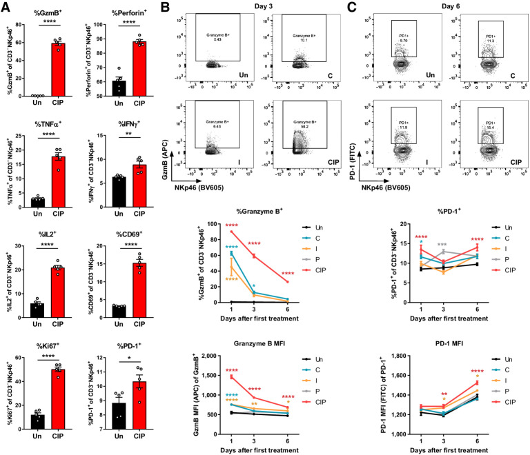 Figure 5. NK cells are activated in the lungs in response to CIP immunotherapy. Balb/c mice were inoculated with 5 × 105 4T1-Luc tumor cells in the mammary fat pad and treated with CIP or individual agents as in Fig. 1A when tumors reached 50 to 100 mm3. Lungs were isolated 1, 3, or 6 days after initiation of treatment, as indicated, and NK-cell functional markers quantified by flow cytometry. A, NK-cell expression of granzyme B, perforin, TNFα, IFNγ, IL2, CD69, Ki67, and PD-1 3 days post–treatment initiation. Representative flow cytometry plots, percentage of positive cells, and mean fluorescence intensity (MFI) for NK-cell expression of granzyme B (B) and PD-1 (C). Shown are mean ± SEM and are representative of two independent experiments (n = 5 animals/group per time point). *, P < 0.05; **, P < 0.01; ***, P < 0.001; ****, P < 0.0001 versus untreated at each time point by two-way ANOVA followed by Student t test (A) or Dunnett multiple comparisons test (B and C).