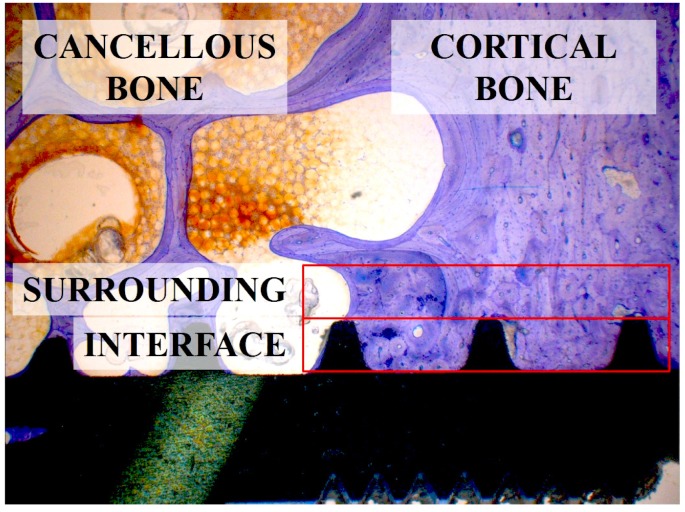 Figure 13