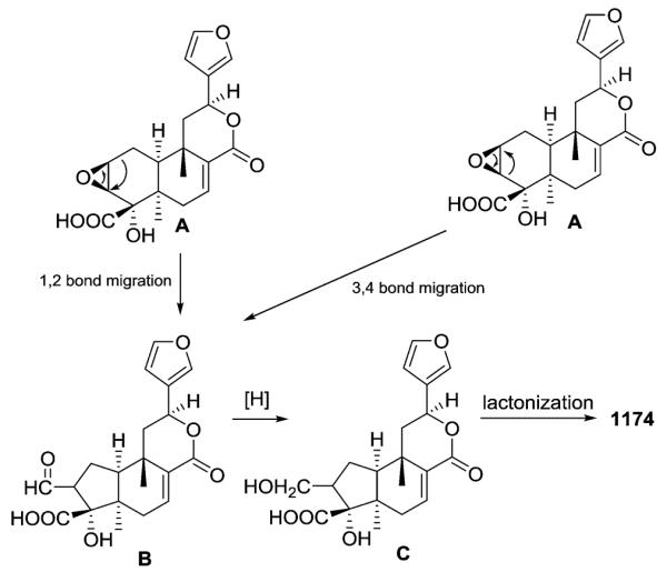 Scheme 2