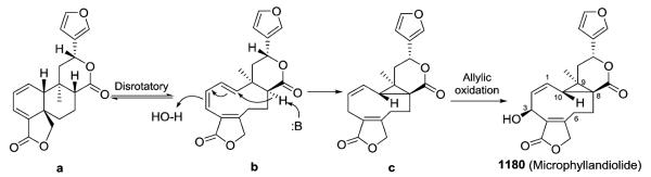 Scheme 3