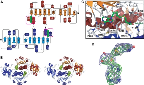 FIGURE 1.