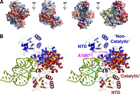 FIGURE 3.