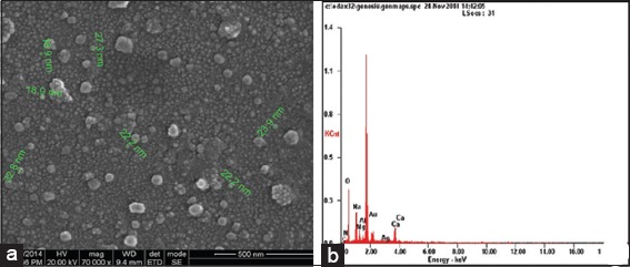 Figure 5