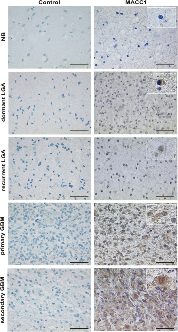 Fig. 6.