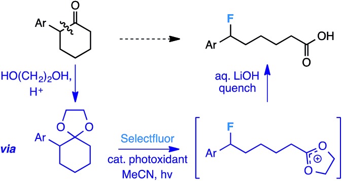 Scheme 3