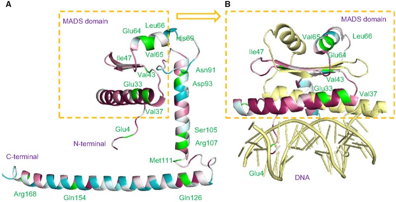 Fig. 6.