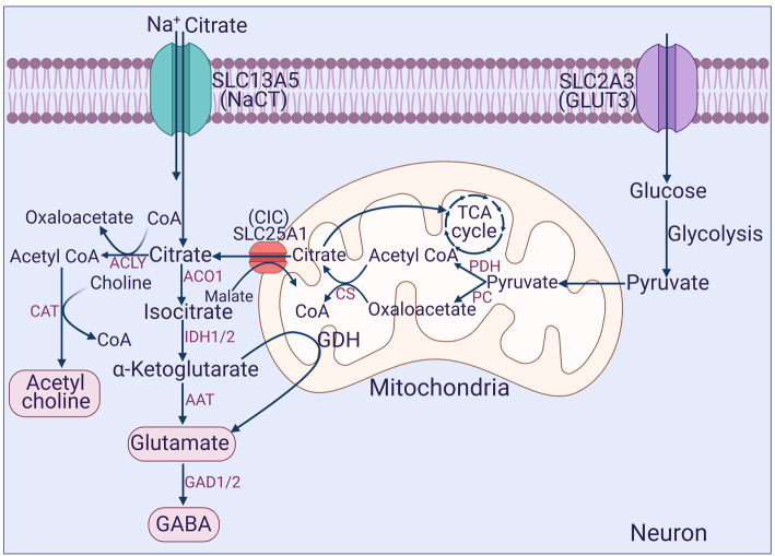 Figure 3.