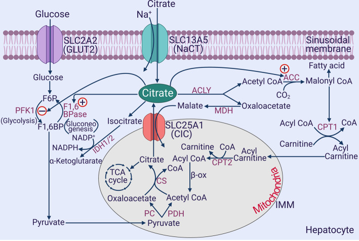 Figure 2.