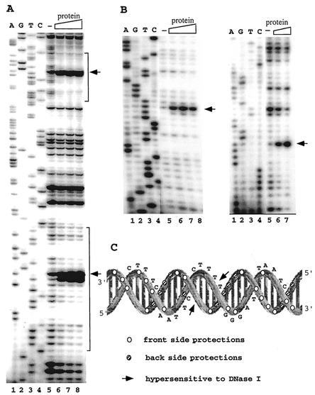 FIG. 7.