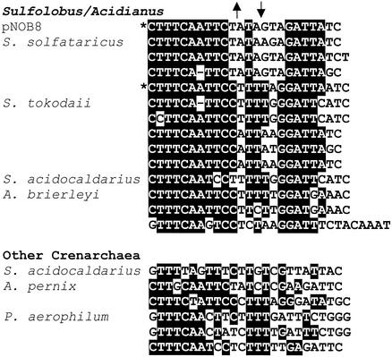 FIG. 9.