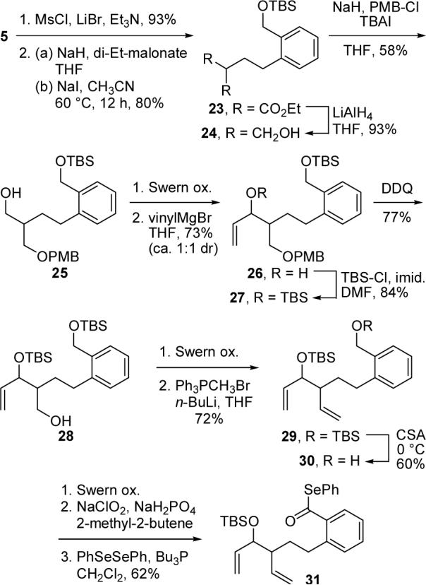 Scheme 5