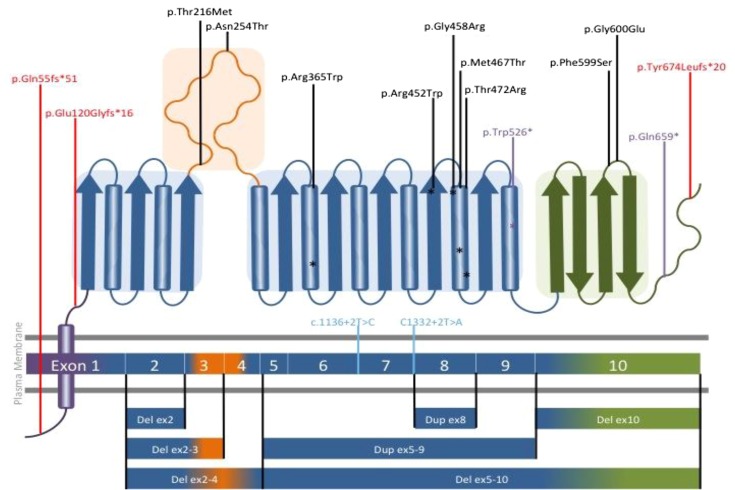 Figure 2.