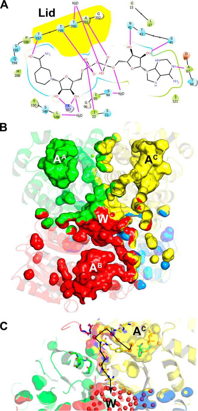 Figure 7.