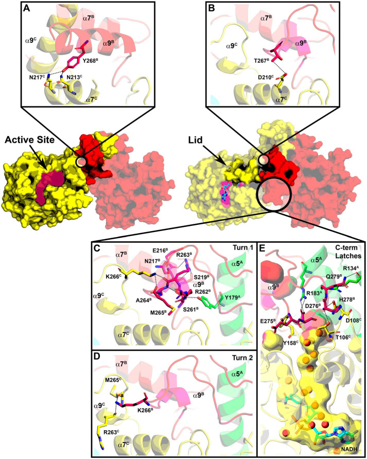 Figure 9.