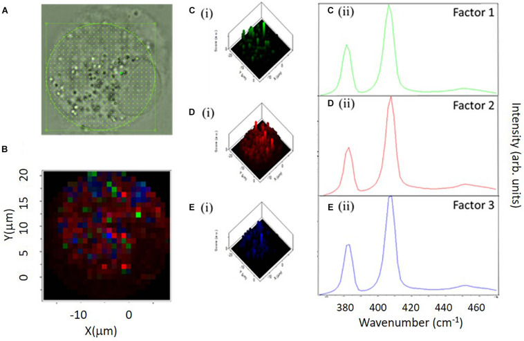 FIGURE 4