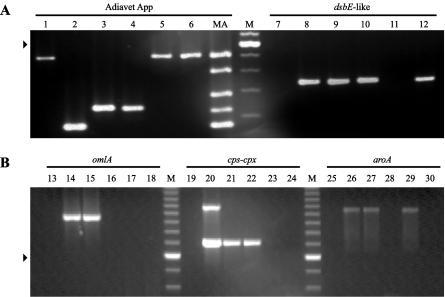 FIG. 1.