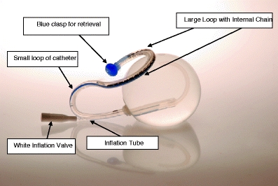 Fig. 1