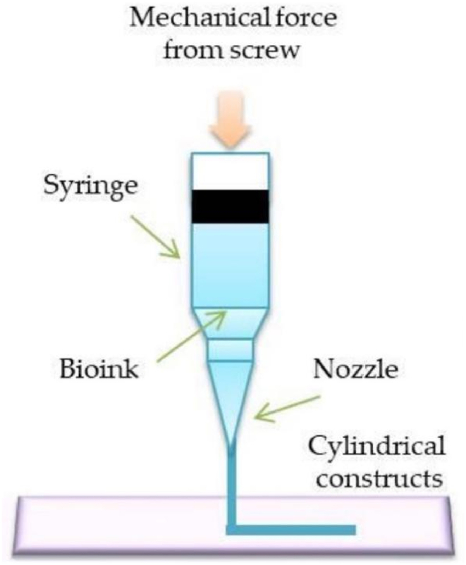 Fig. 7