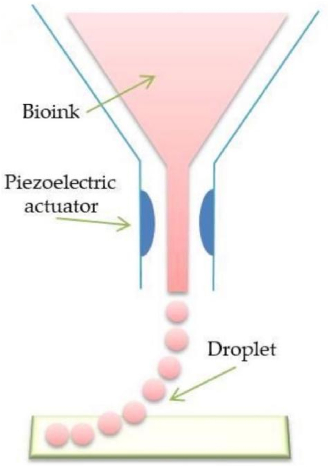 Fig. 6