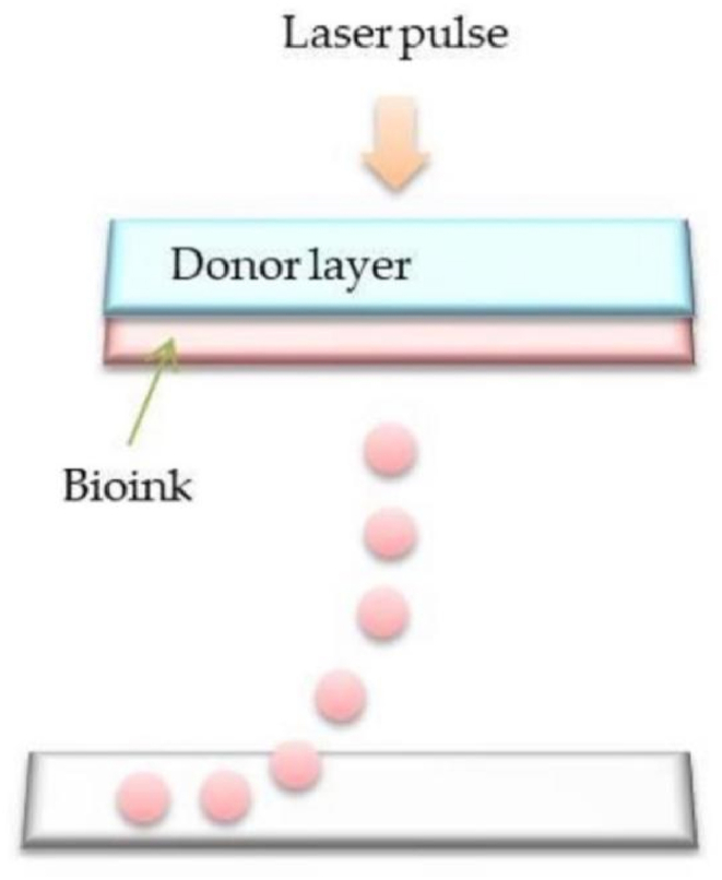 Fig. 8