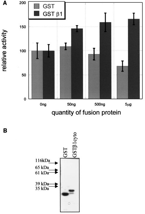 FIG. 9.