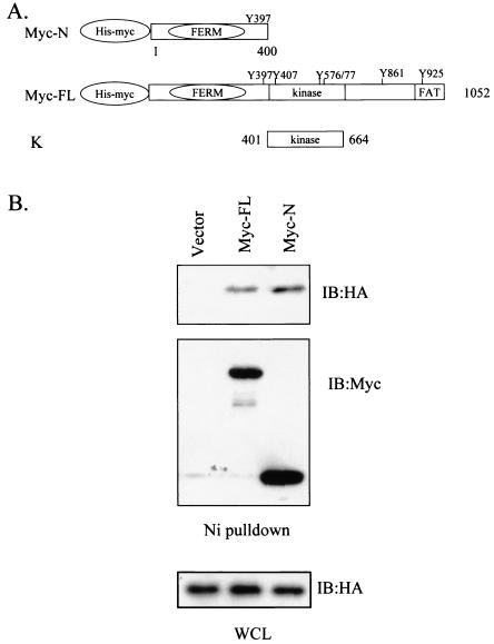 FIG. 6.