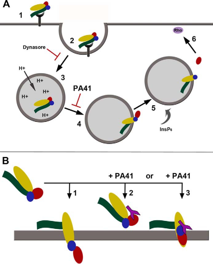 Figure 6.