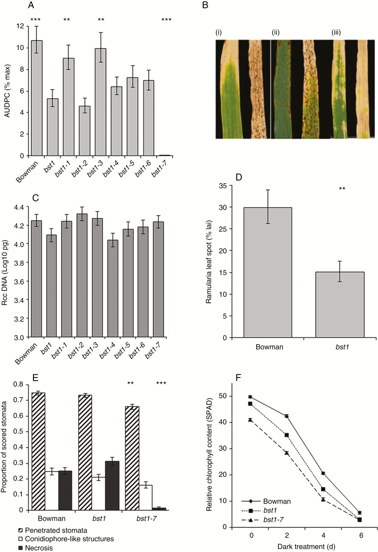 Fig. 9.