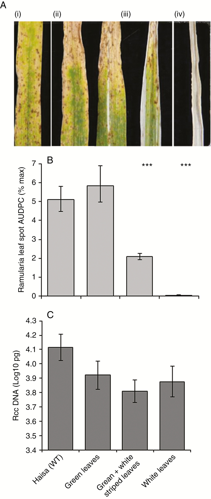 Fig. 10.