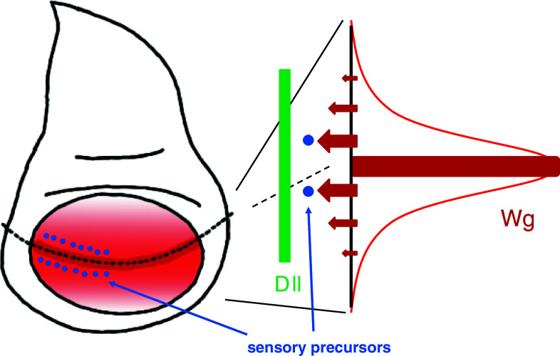 Fig. 2