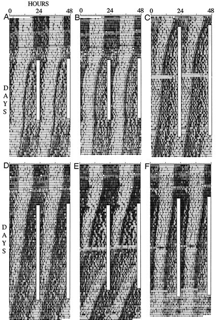 Fig. 9.